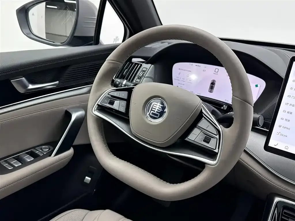 BYD Tang New Energy 2025 из CN, фото 5
