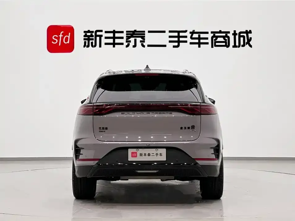 BYD Tang New Energy 2025 из CN, фото 2