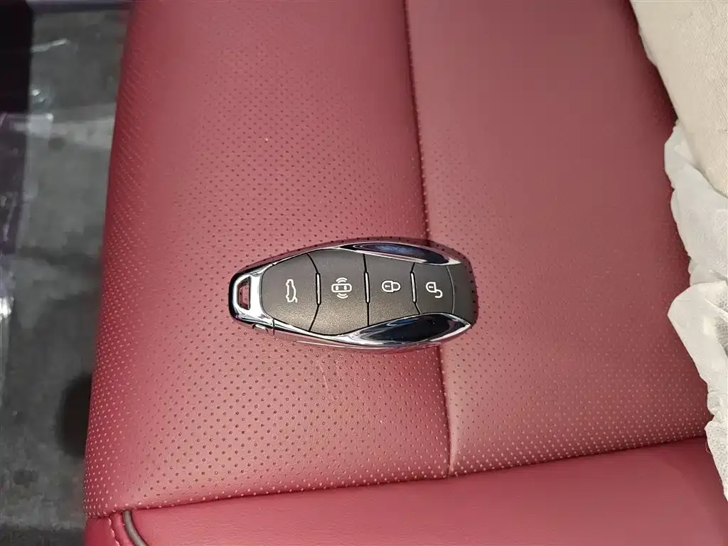Hongqi HS7 PHEV 2026 из CN, фото 5