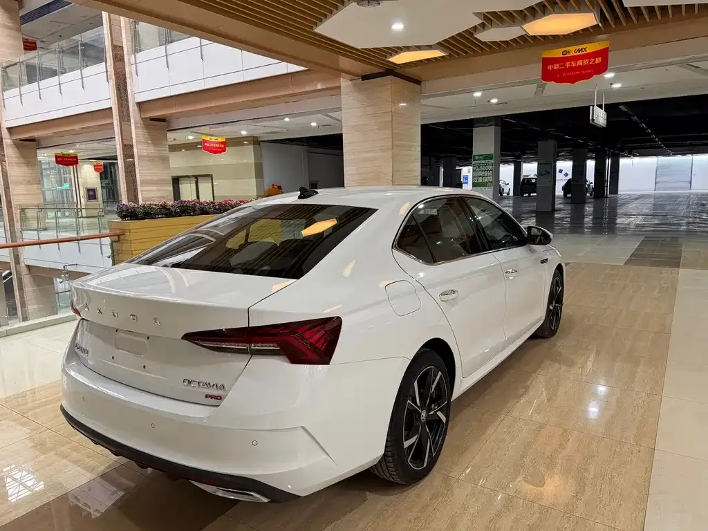 Skoda Octavia 2023 из CN, фото 5