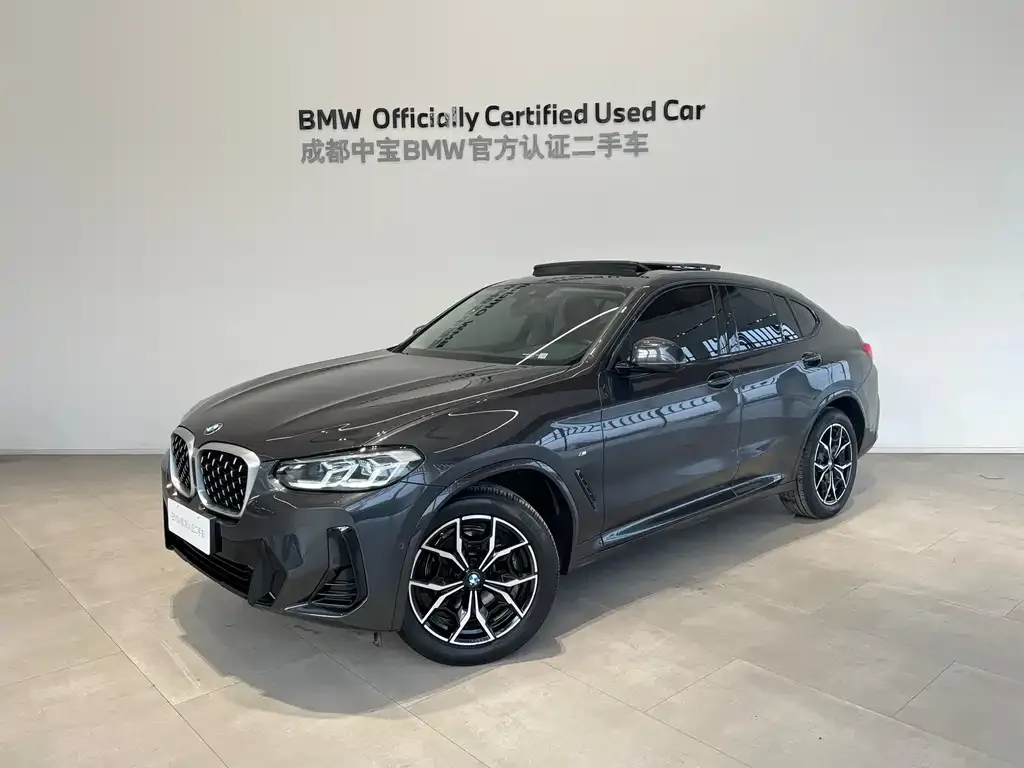 BMW X4 2023 из CN, фото 1