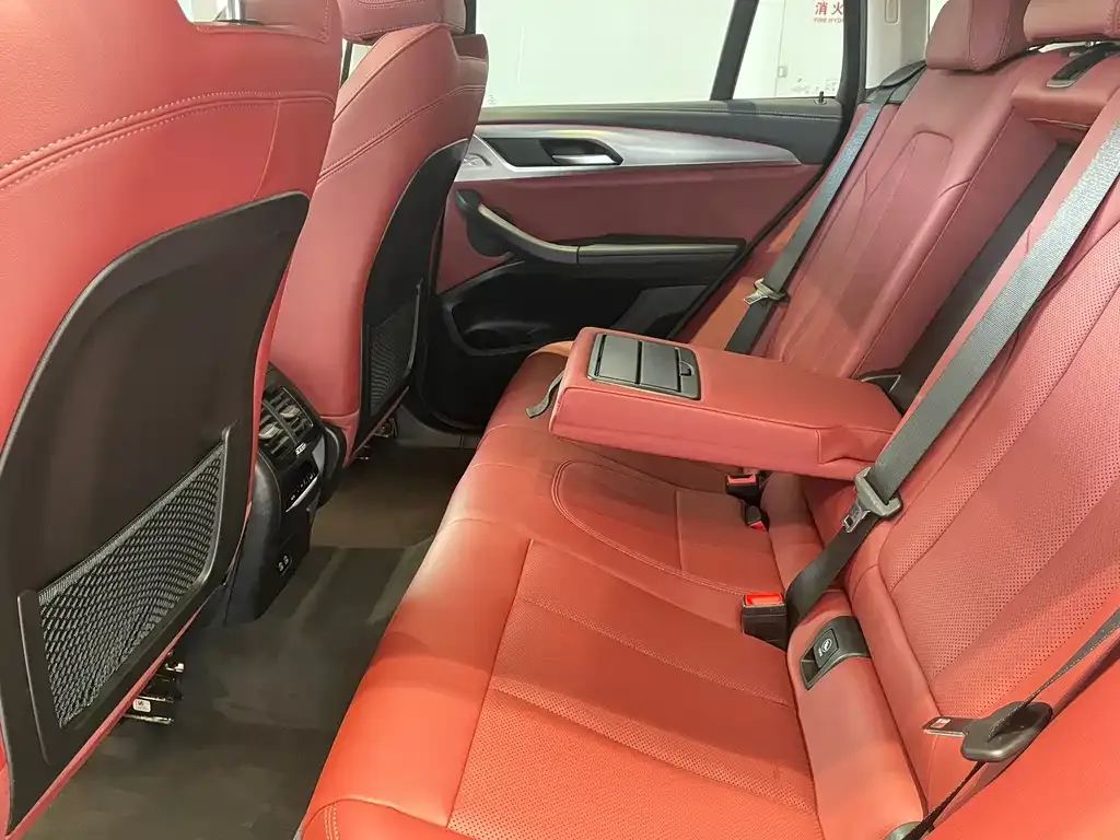 BMW X4 2023 из CN, фото 6