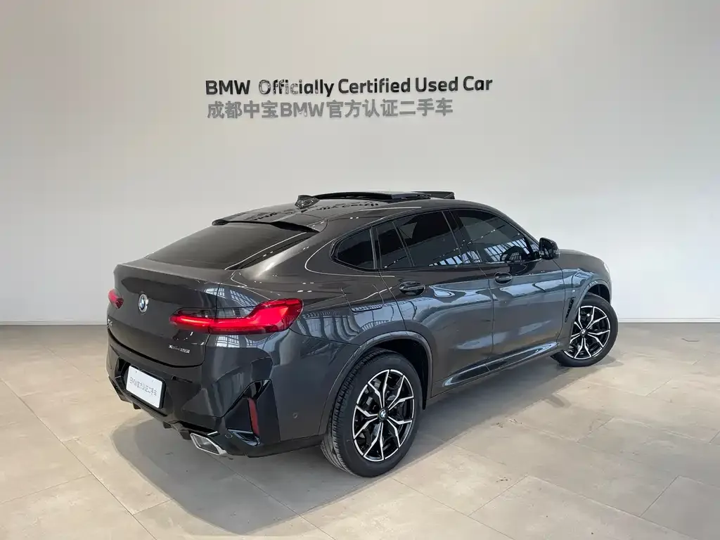 BMW X4 2023 из CN, фото 4