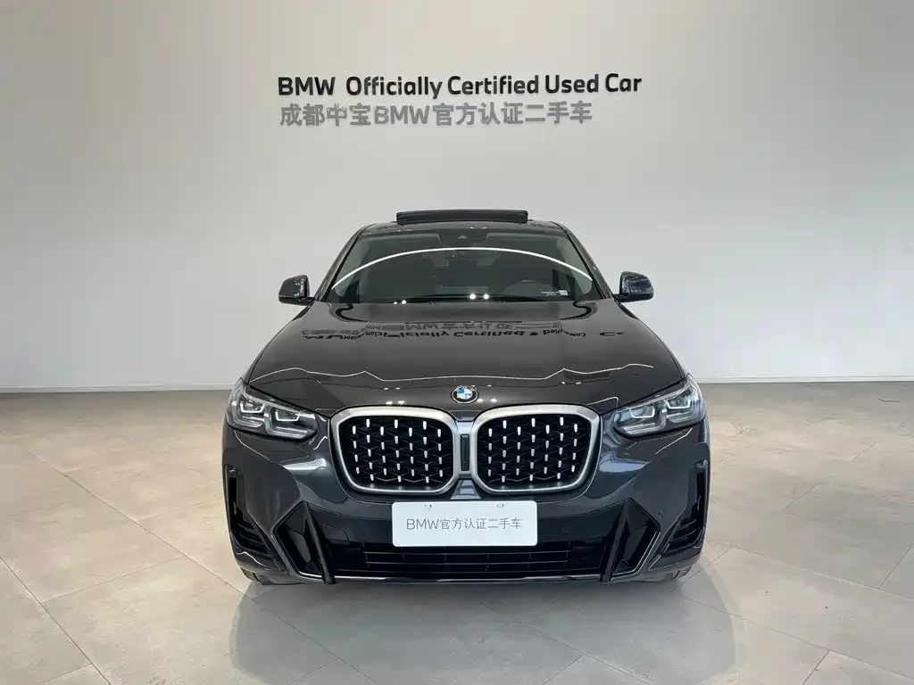 BMW X4 2023 из CN, фото 8