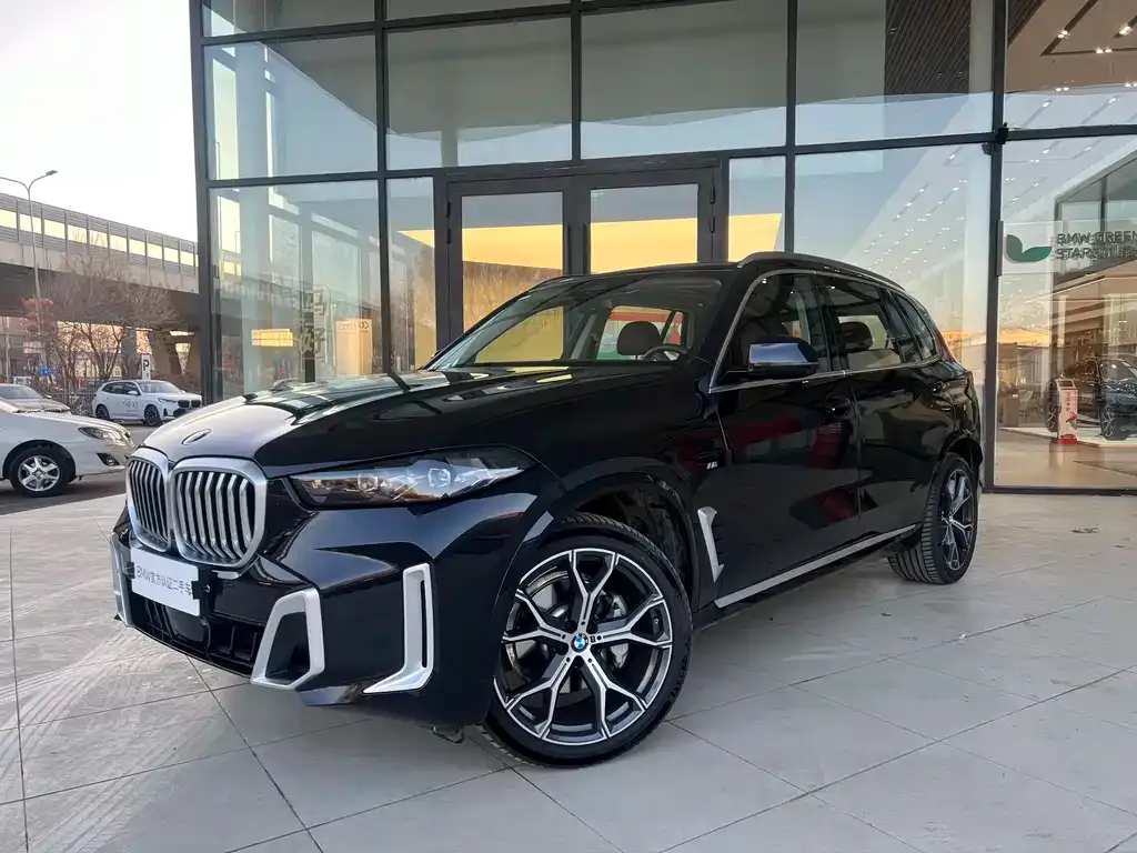 BMW X5 2025 из CN, фото 1