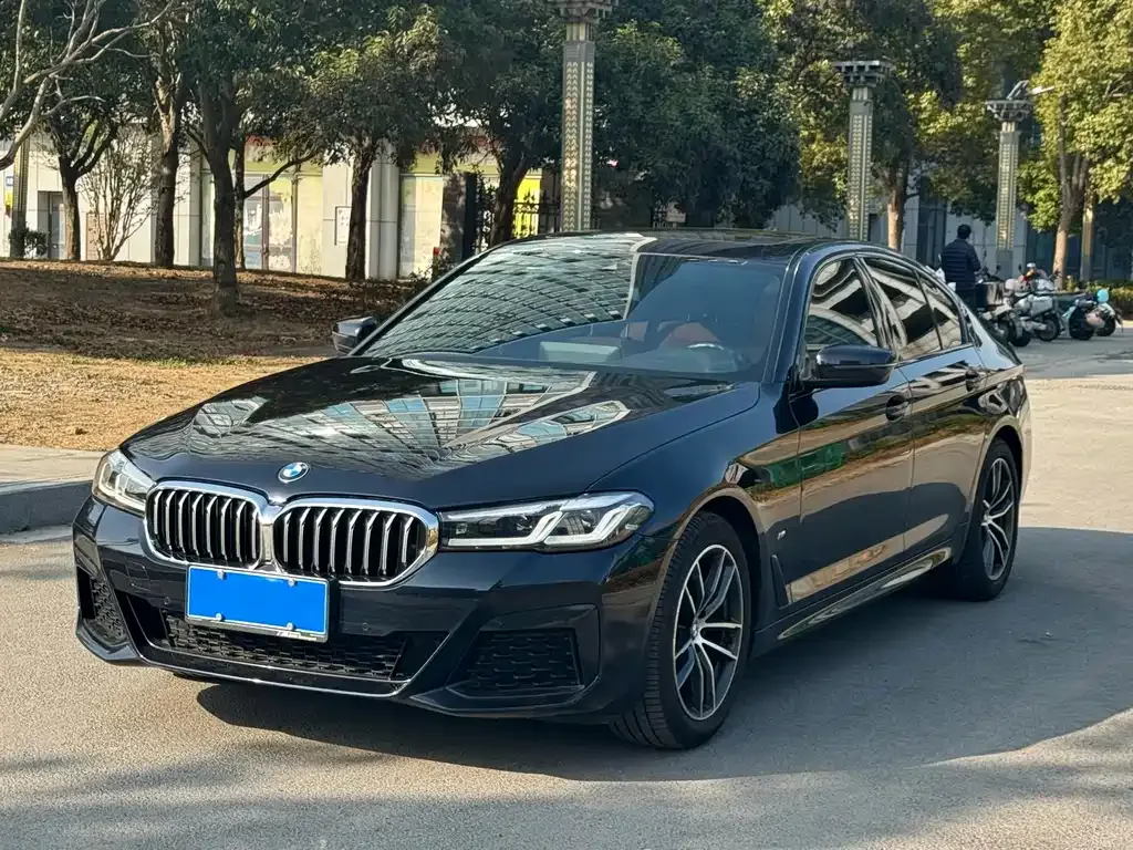 BMW 5 Series (Import) 2022 из CN, фото 1