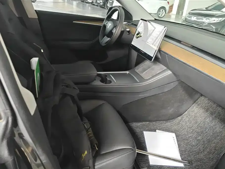 Tesla Model Y — фото 10