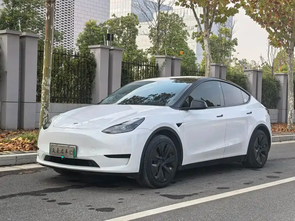 Tesla Model Y 2023 из CN, фото 1