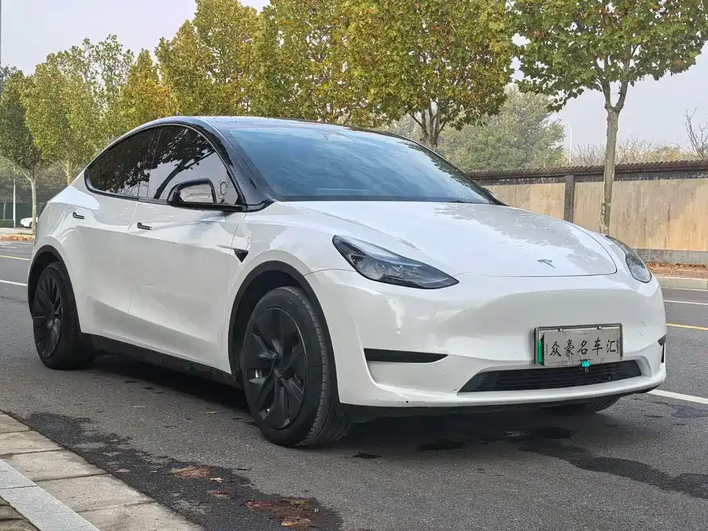 Tesla Model Y 2023 из CN, фото 2