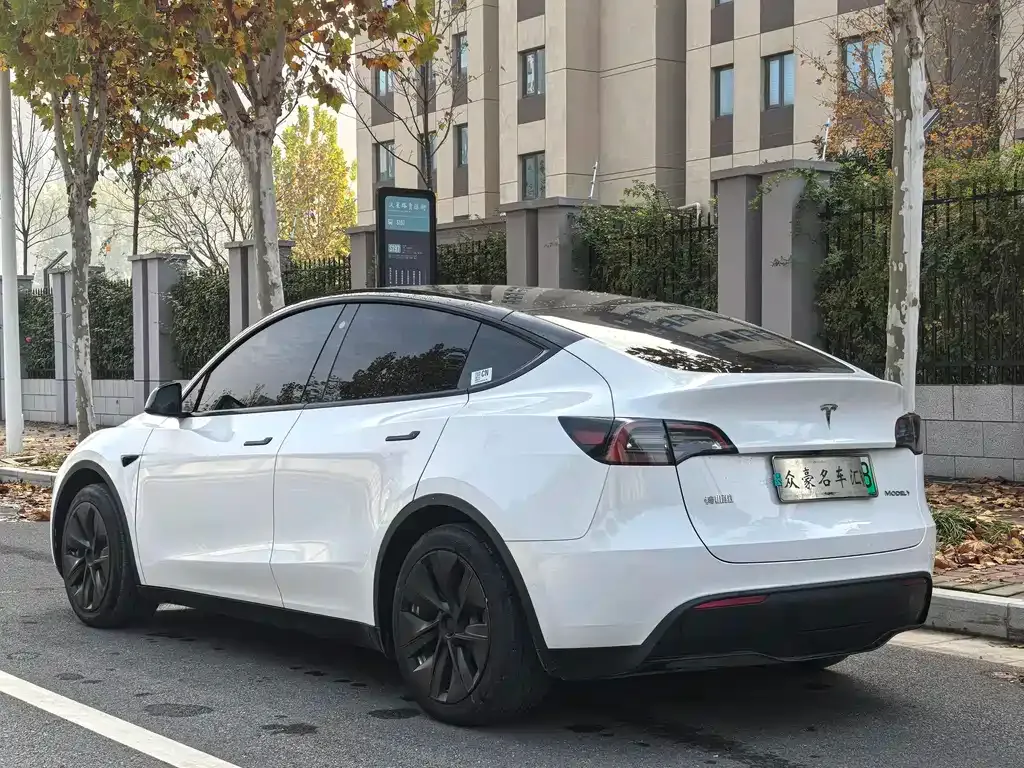 Tesla Model Y 2023 из CN, фото 10