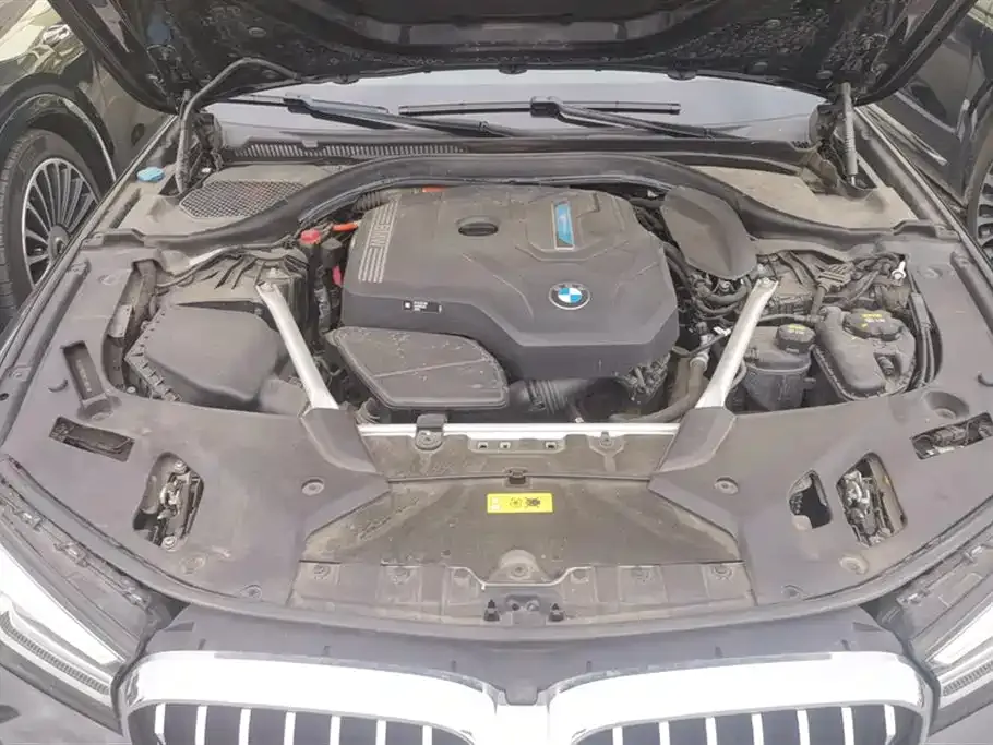 BMW 5 Series New Energy 2021 из CN, фото 9
