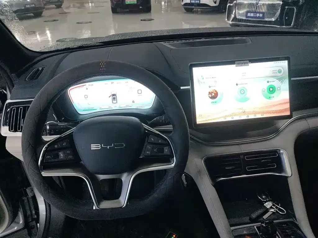 BYD PLUS New Energy 2024 из CN, фото 5