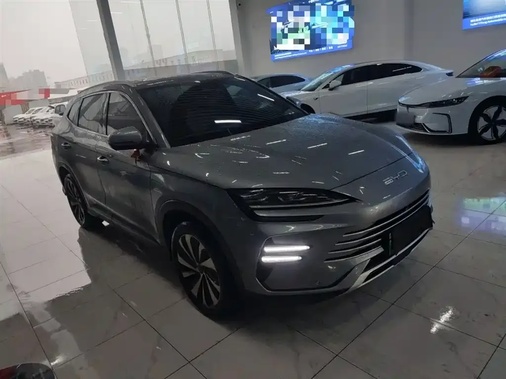 BYD PLUS New Energy 2024 из CN, фото 3
