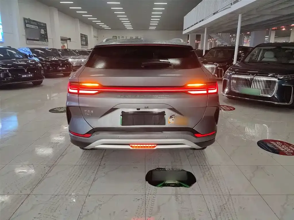 BYD PLUS New Energy 2024 из CN, фото 9