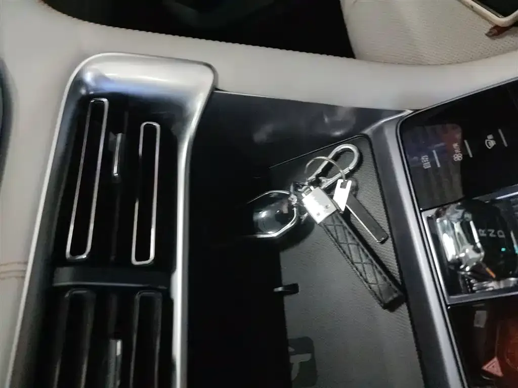BYD PLUS New Energy 2024 из CN, фото 2