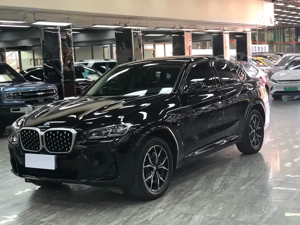 BMW X4 2023 из CN, фото 1
