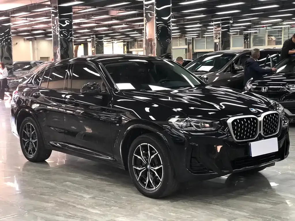 BMW X4 2023 из CN, фото 4