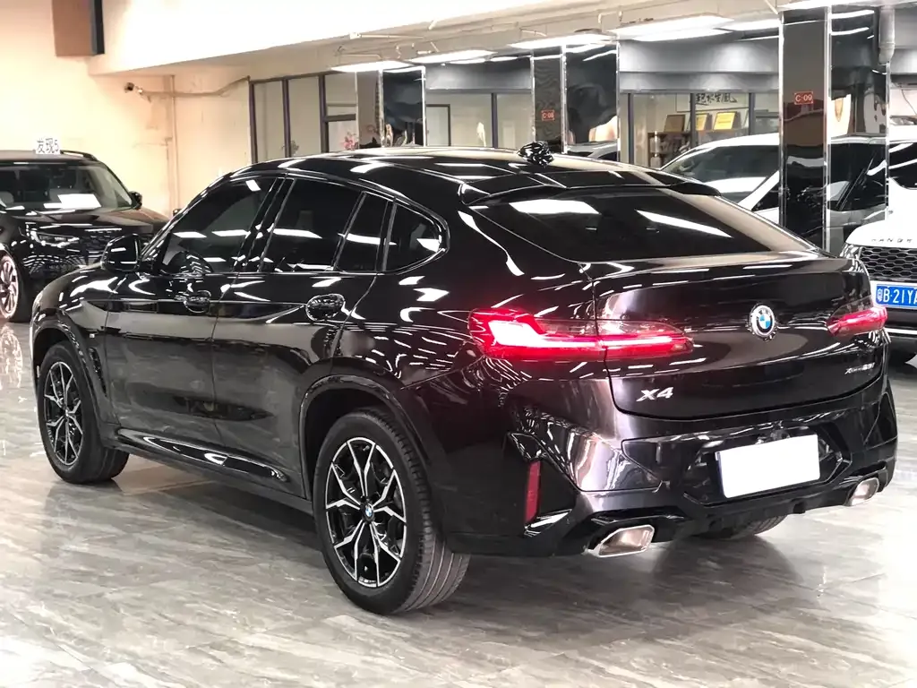 BMW X4 2023 из CN, фото 10