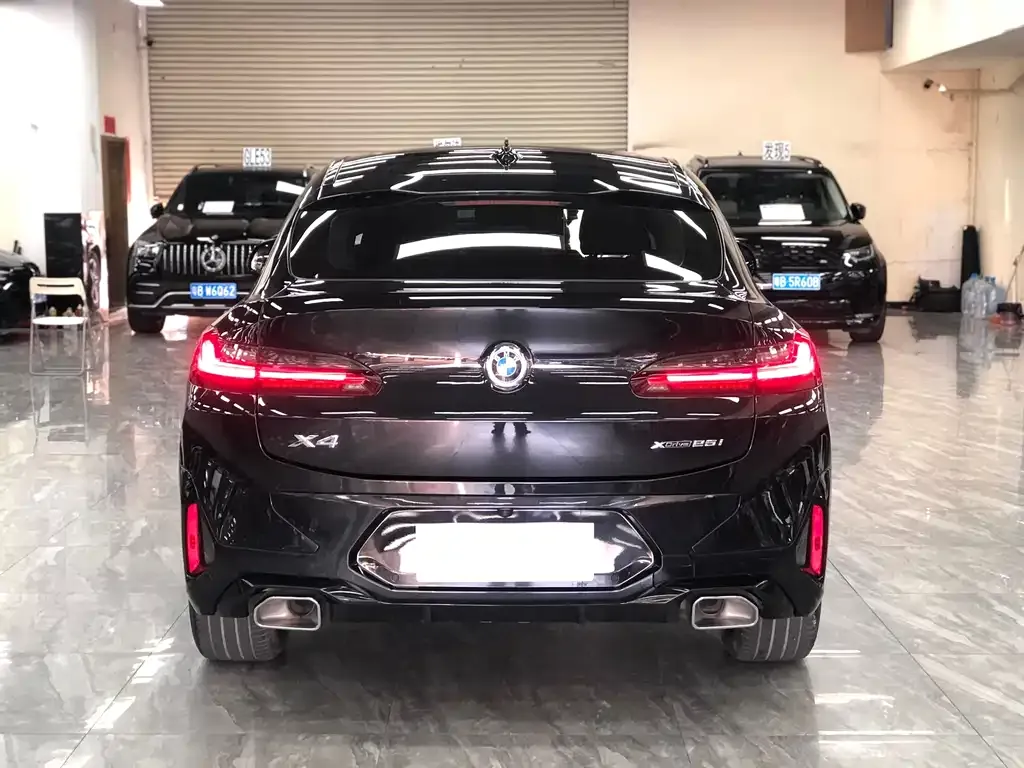 BMW X4 2023 из CN, фото 5