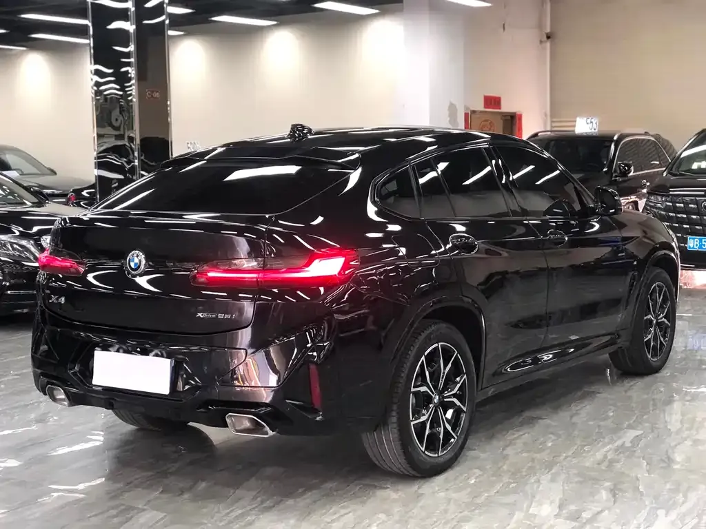 BMW X4 2023 из CN, фото 3