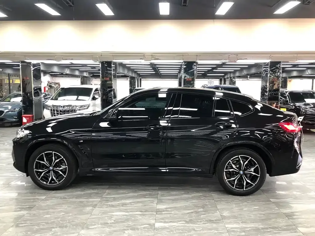 BMW X4 2023 из CN, фото 9
