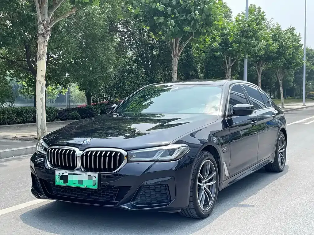 BMW 5 Series New Energy 2022 из CN, фото 1