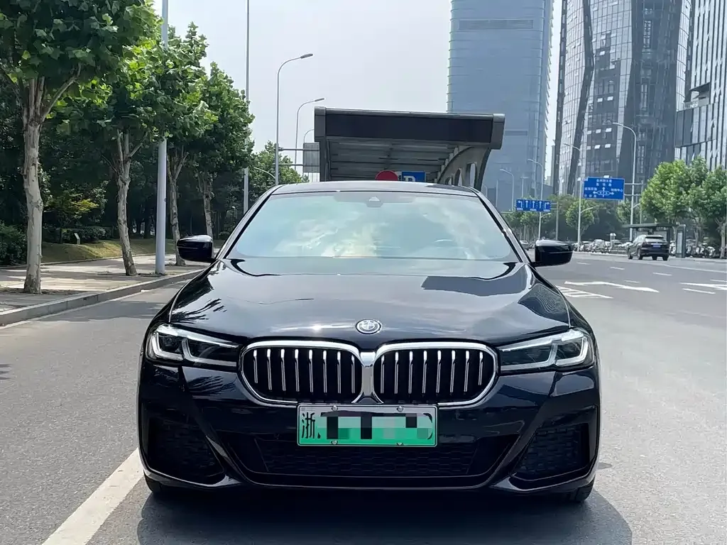 BMW 5 Series New Energy 2022 из CN, фото 7