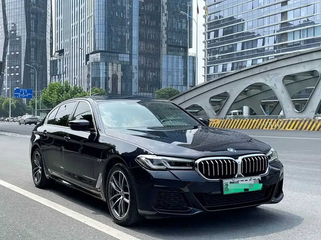 BMW 5 Series New Energy 2022 из CN, фото 9