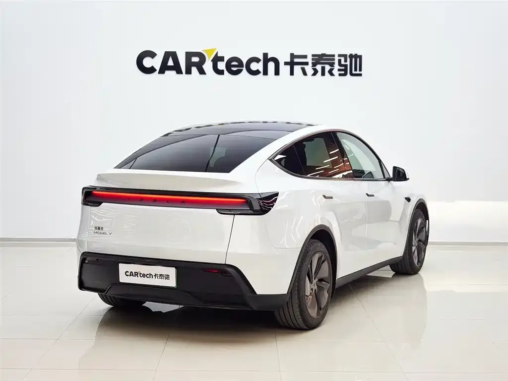 Tesla Model Y — фото 10