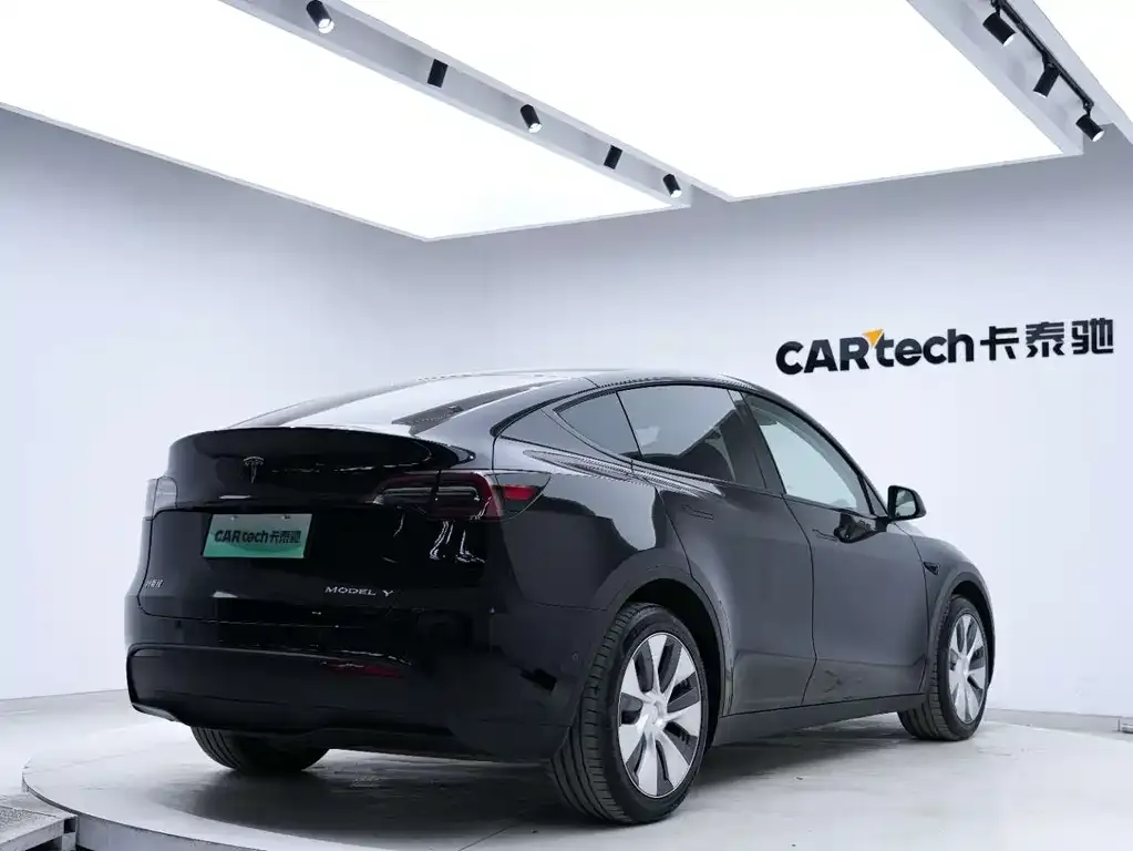 Tesla Model Y — фото 8