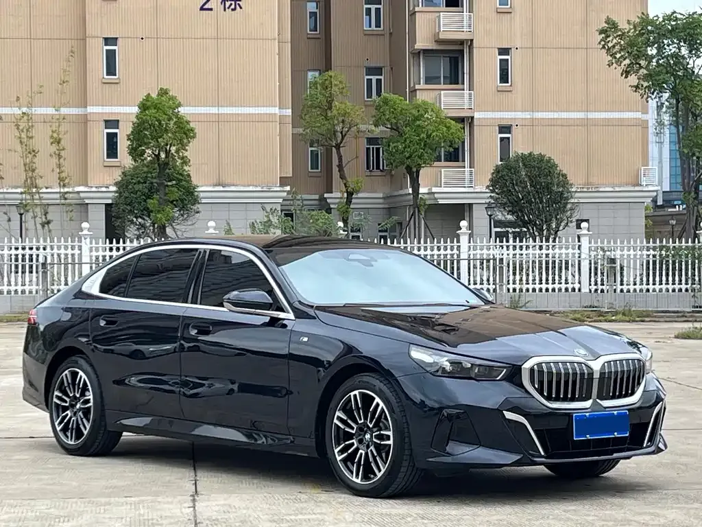 BMW 5 Series 2025 из CN, фото 10