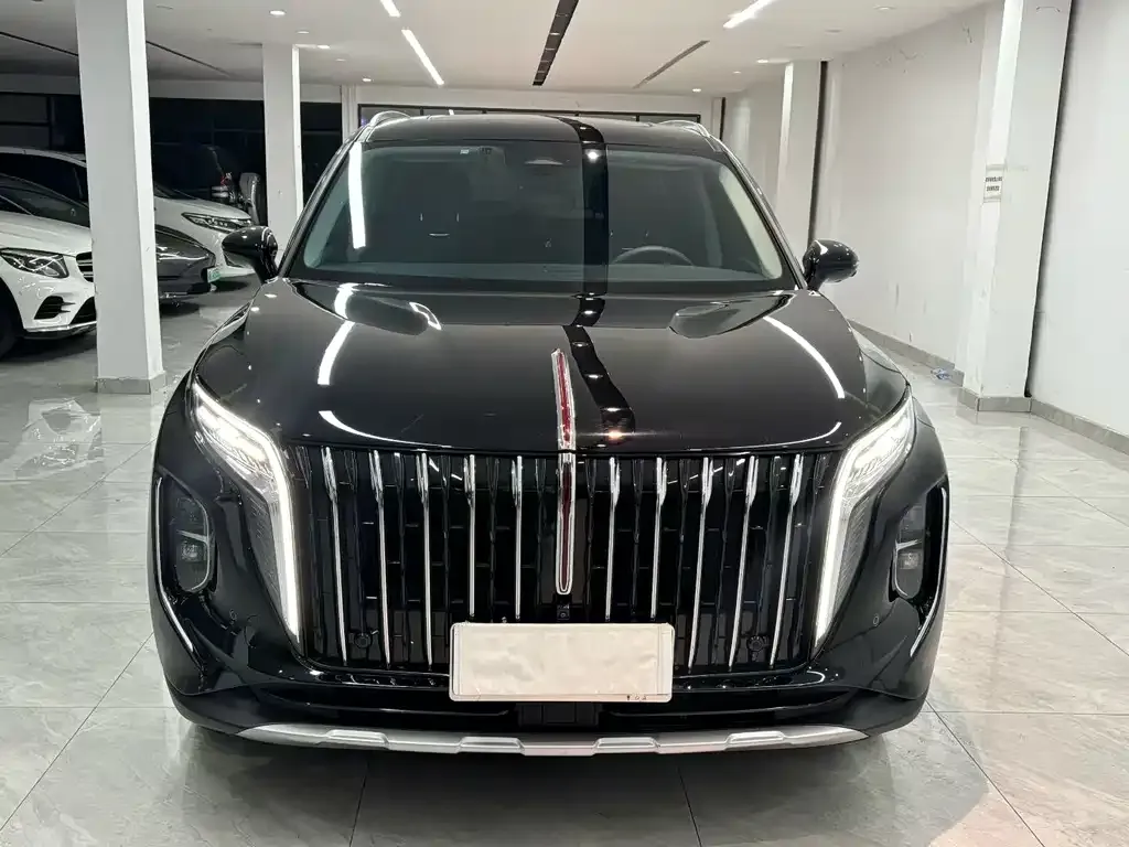 Hongqi HS7 2024 из CN, фото 2