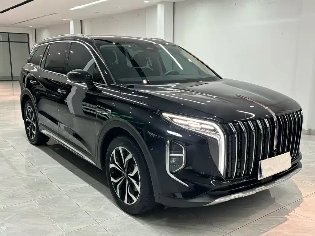 Hongqi HS7 2024 из CN, фото 6