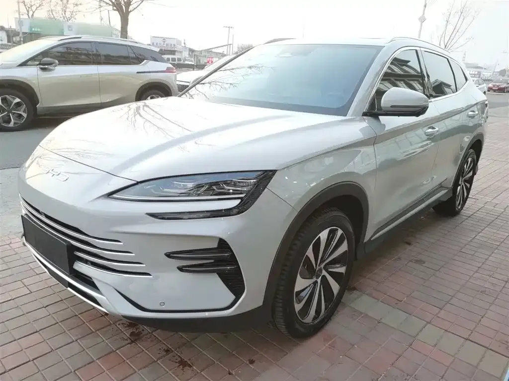 BYD PLUS New Energy 2024 из CN, фото 1