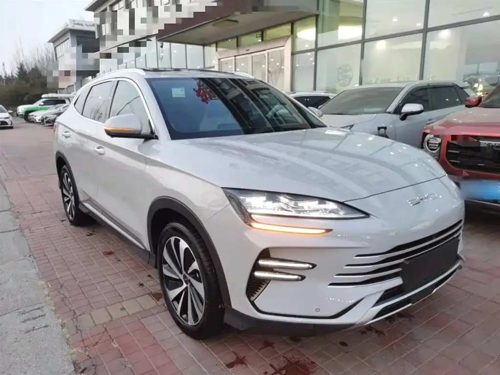 BYD PLUS New Energy 2024 из CN, фото 6