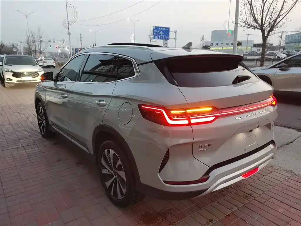 BYD PLUS New Energy 2024 из CN, фото 2