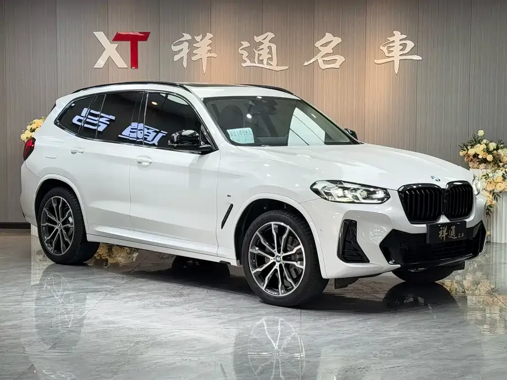 BMW X3 2022 из CN, фото 6