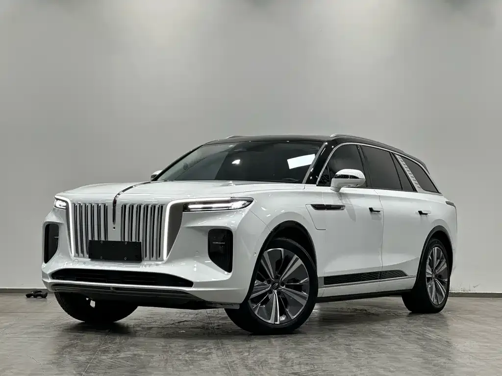 Hongqi E-HS9 2021 из CN, фото 1