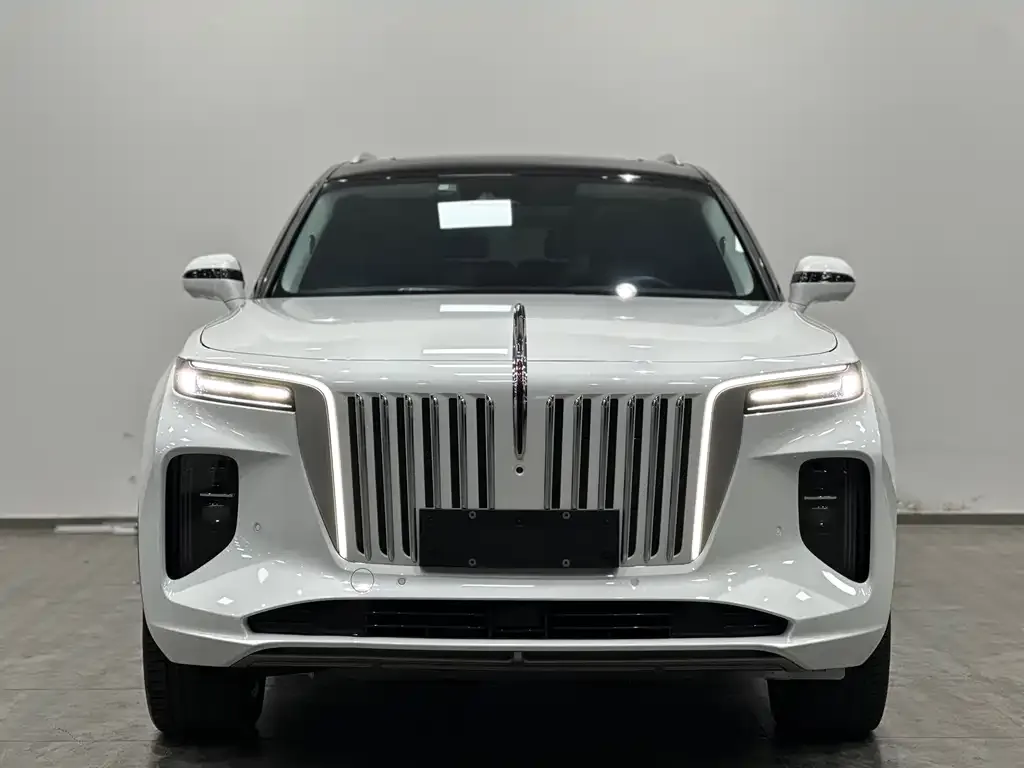 Hongqi E-HS9 2021 из CN, фото 8