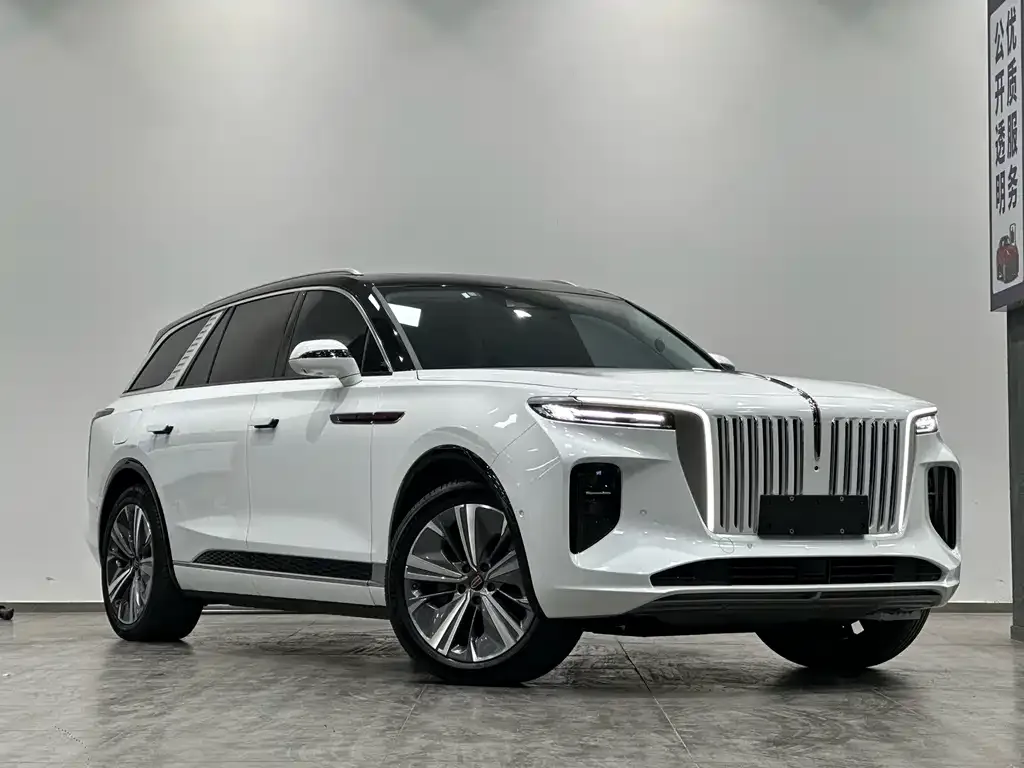 Hongqi E-HS9 2021 из CN, фото 3