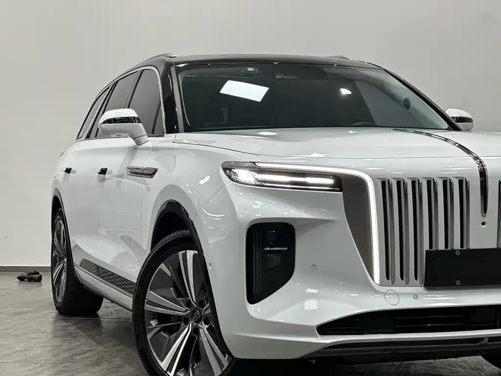 Hongqi E-HS9 2021 из CN, фото 9