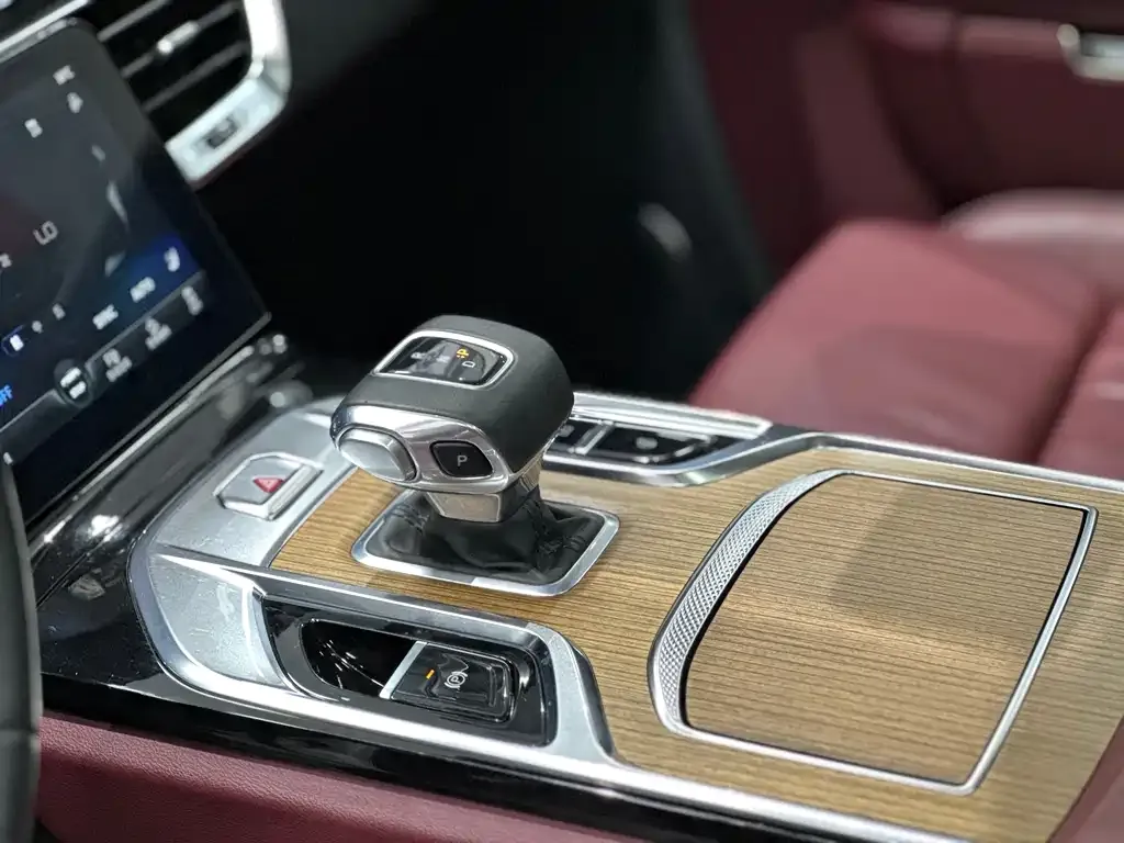 Hongqi E-HS9 2021 из CN, фото 4