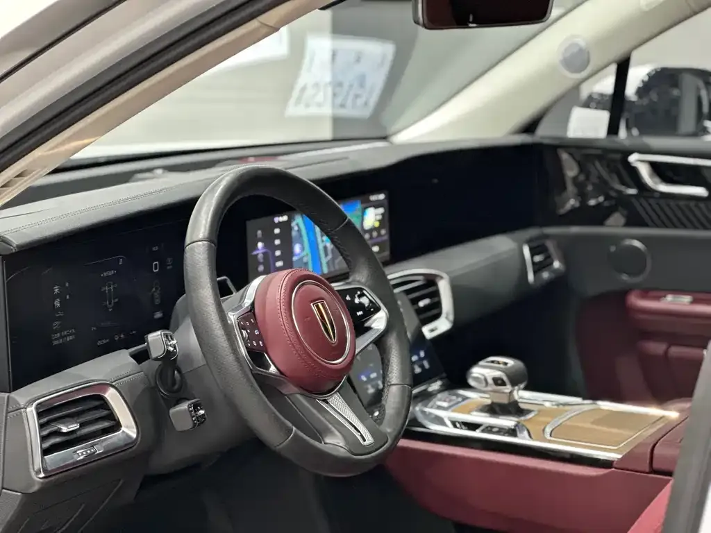 Hongqi E-HS9 2021 из CN, фото 10