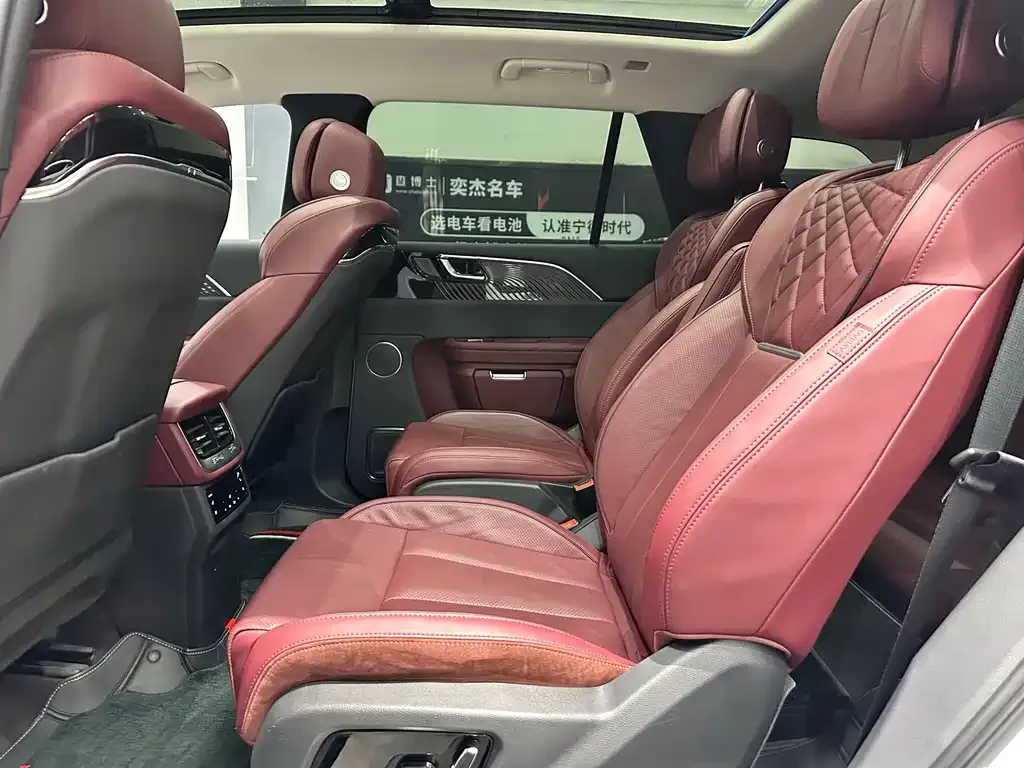 Hongqi E-HS9 2021 из CN, фото 5