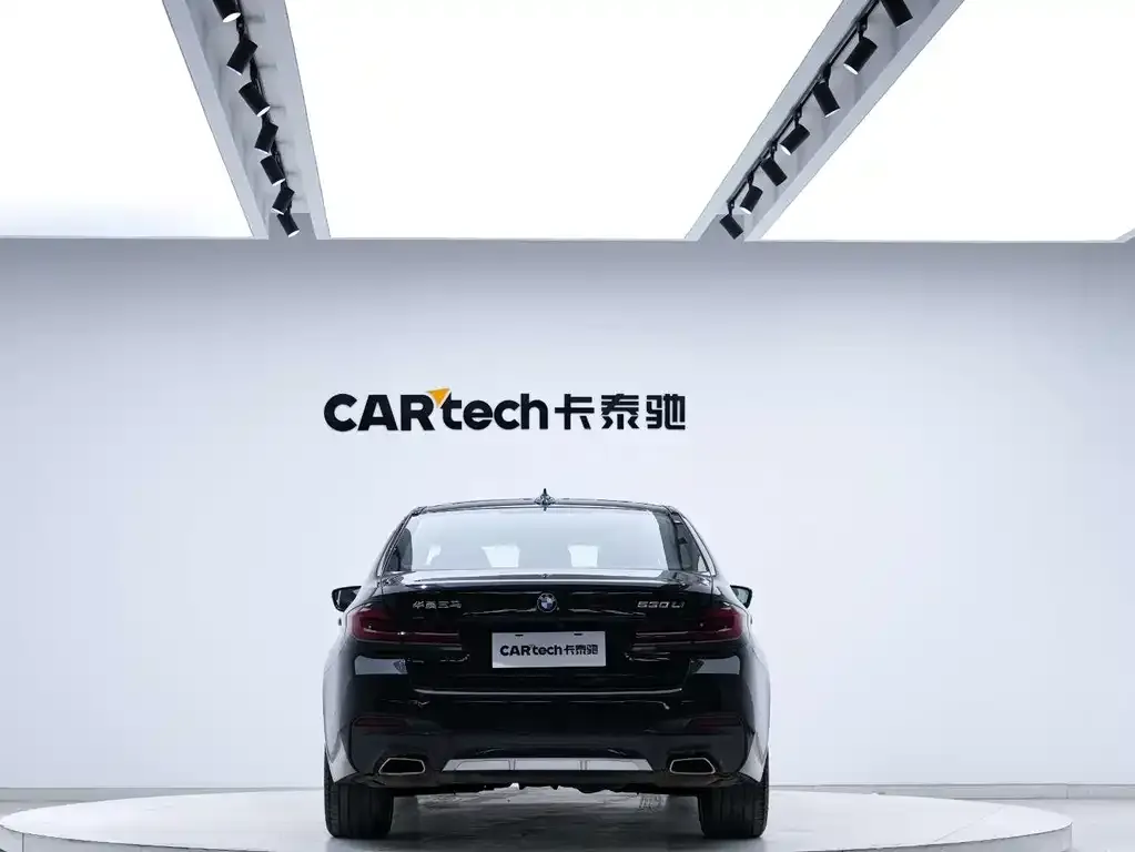 BMW 5 Series 2021 из CN, фото 4