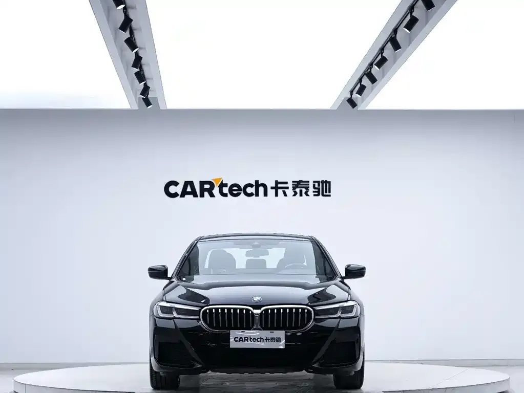 BMW 5 Series 2021 из CN, фото 6