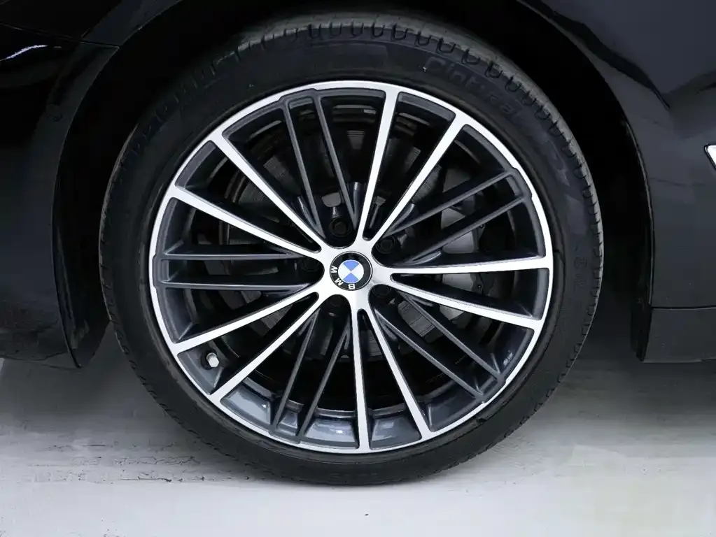 BMW 5 Series 2021 из CN, фото 7