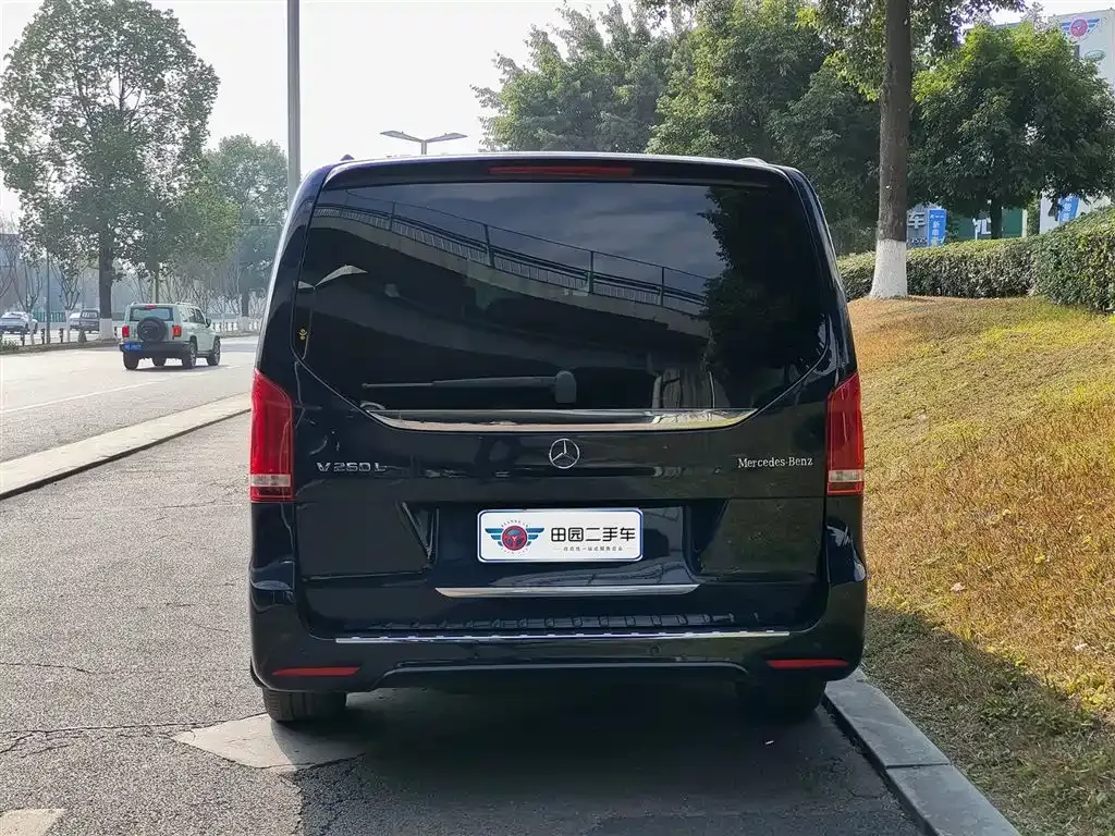 Mercedes-Benz V-Class 2021 из CN, фото 4