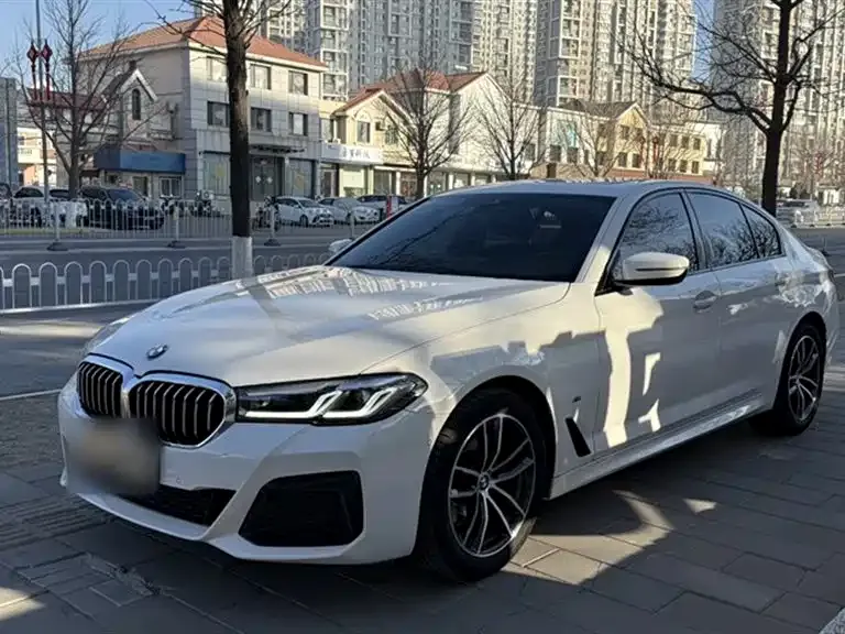 BMW 5 Series (Import) 2021 из CN, фото 1