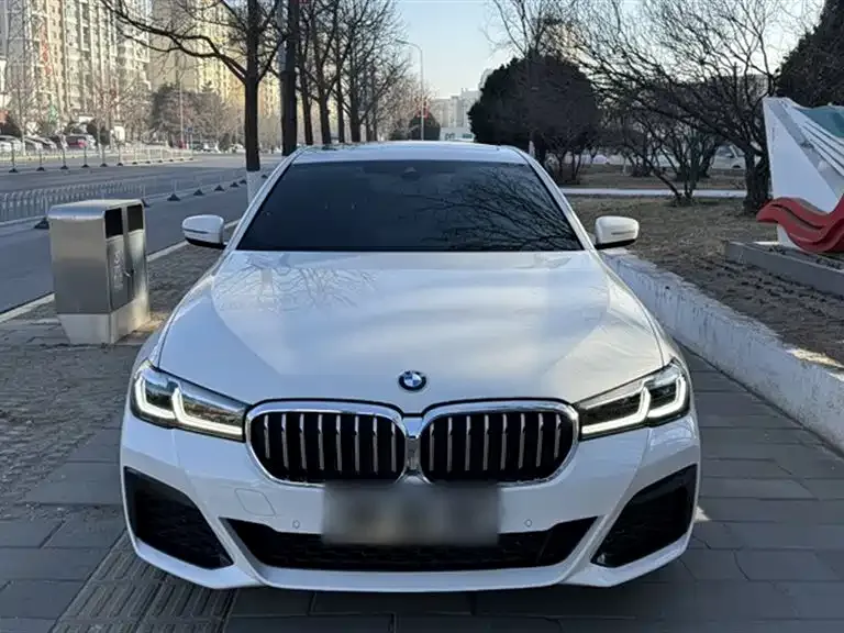BMW 5 Series (Import) 2021 из CN, фото 8